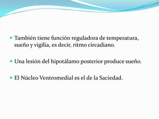  También tiene función reguladora de temperatura,
sueño y vigilia, es decir, ritmo circadiano.
 Una lesión del hipotálamo posterior produce sueño.
 El Núcleo Ventromedial es el de la Saciedad.
 