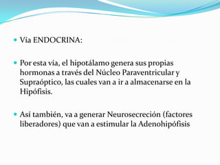  Vía ENDOCRINA:
 Por esta vía, el hipotálamo genera sus propias
hormonas a través del Núcleo Paraventricular y
Supraóptico, las cuales van a ir a almacenarse en la
Hipófisis.
 Así también, va a generar Neurosecreción (factores
liberadores) que van a estimular la Adenohipófisis
 