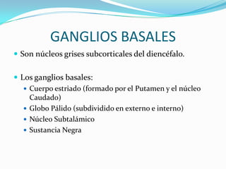 GANGLIOS BASALES
 Son núcleos grises subcorticales del diencéfalo.
 Los ganglios basales:
 Cuerpo estriado (formado por el Putamen y el núcleo
Caudado)
 Globo Pálido (subdividido en externo e interno)
 Núcleo Subtalámico
 Sustancia Negra
 