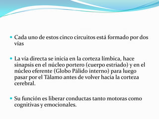  Cada uno de estos cinco circuitos está formado por dos
vías
 La vía directa se inicia en la corteza límbica, hace
sinapsis en el núcleo portero (cuerpo estriado) y en el
núcleo eferente (Globo Pálido interno) para luego
pasar por el Tálamo antes de volver hacia la corteza
cerebral.
 Su función es liberar conductas tanto motoras como
cognitivas y emocionales.
 