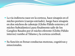 La vía indirecta nace en la corteza, hace sinapsis en el
núcleo portero (cuerpo estriado), luego hace sinapsis
en dos núcleos de cabotaje (Globo Pálido externo y el
núcleo Subtalámico) para finalmente salir de los
Ganglios Basales por el núcleo eferente (Globo Pálido
interno) rumbo al Tálamo y la corteza cerebral.
 Su función es frenar conductas motoras, cognitivas y
emocionales.
 
