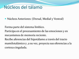 Núcleos del tálamo
 Núcleos Anteriores: (Dorsal, Medial y Ventral)
Forma parte del sistema límbico.
Participa en el procesamiento de las emociones y en
mecanismos de memoria reciente.
Recibe aferencias del hipotálamo a través del tracto
mamilotalámico y ,a su vez, proyecta sus eferencias a la
corteza cingulada.
 