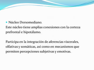  Núcleo Dorsomediano.
Este núcleo tiene amplias conexiones con la corteza
prefrontal e hipotálamo.
Participa en la integración de aferencias viscerales,
olfativas y somáticas, así como en mecanismos que
permiten percepciones subjetivas y emotivas.
 