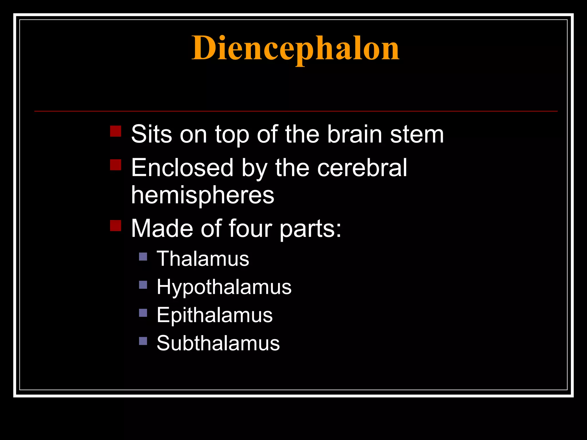 Diencephalon Sits on top of the brain stem Enclosed by the cerebral hemispheres Made of four parts: Thalamus Hypothalamus Epithalamus Subthalamus 