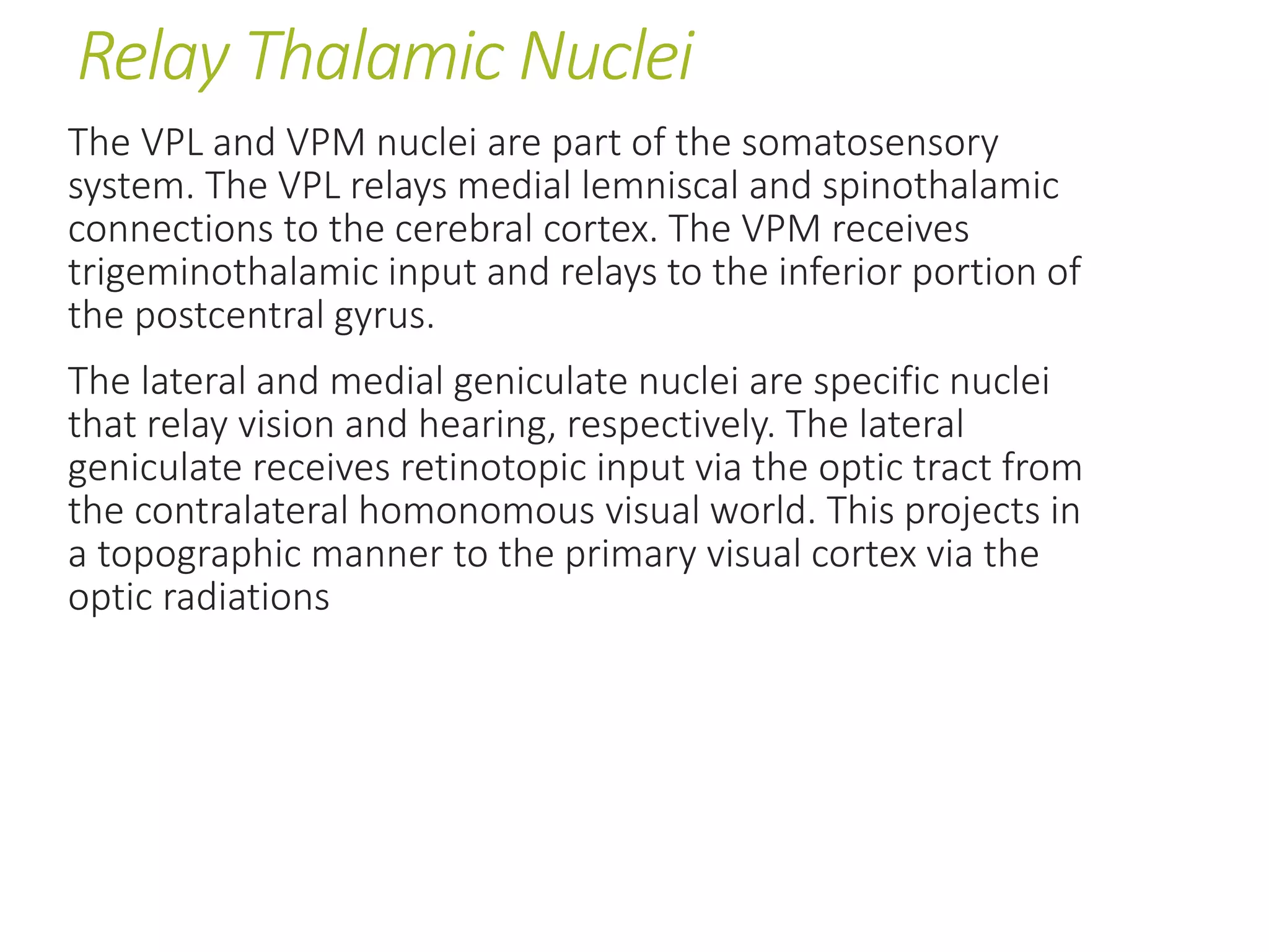 Relay Thalamic Nuclei
The VPL and VPM nuclei are part of the somatosensory
system. The VPL relays medial lemniscal and spinothalamic
connections to the cerebral cortex. The VPM receives
trigeminothalamic input and relays to the inferior portion of
the postcentral gyrus.
The lateral and medial geniculate nuclei are specific nuclei
that relay vision and hearing, respectively. The lateral
geniculate receives retinotopic input via the optic tract from
the contralateral homonomous visual world. This projects in
a topographic manner to the primary visual cortex via the
optic radiations
 
