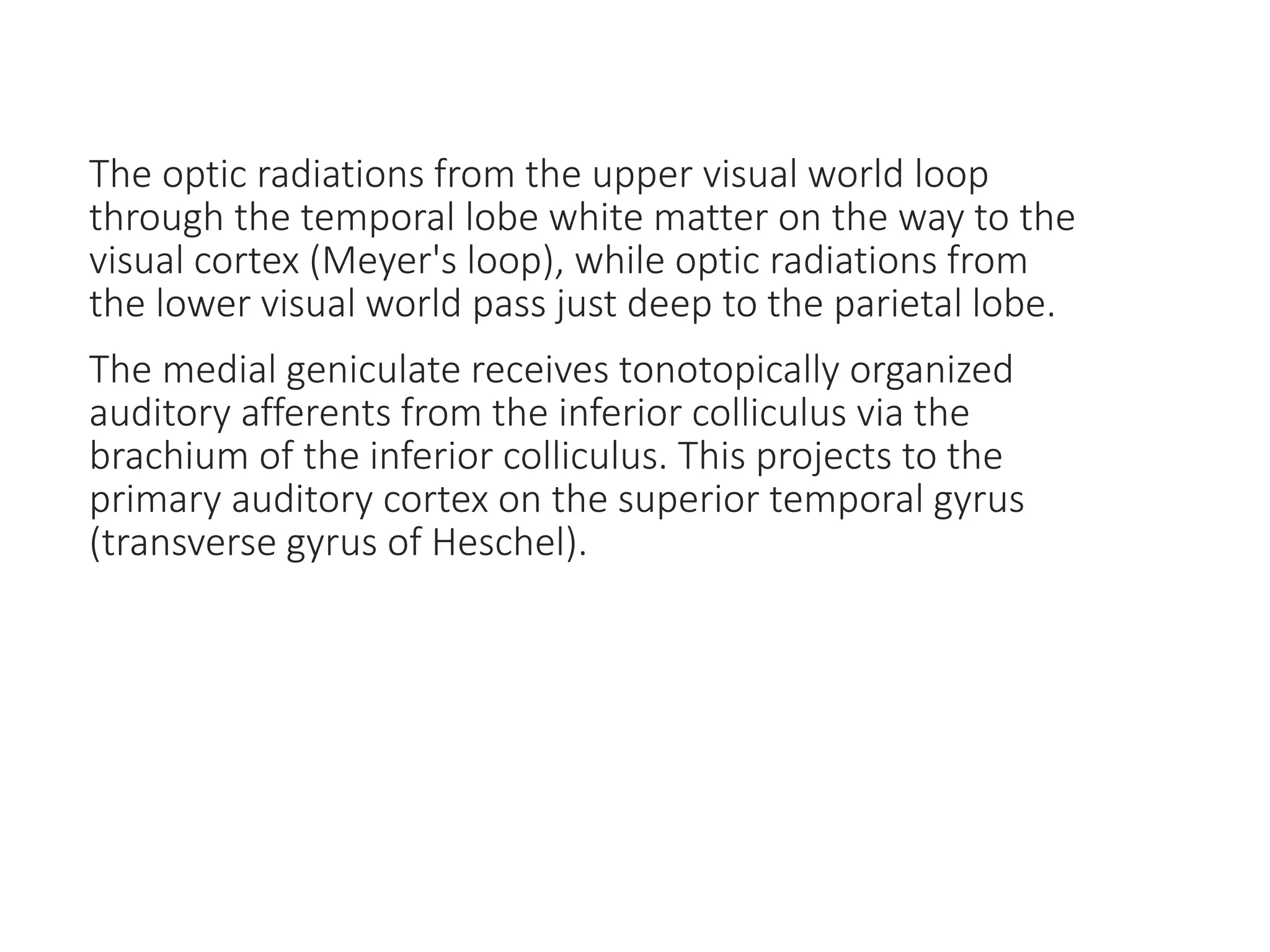The optic radiations from the upper visual world loop
through the temporal lobe white matter on the way to the
visual cortex (Meyer's loop), while optic radiations from
the lower visual world pass just deep to the parietal lobe.
The medial geniculate receives tonotopically organized
auditory afferents from the inferior colliculus via the
brachium of the inferior colliculus. This projects to the
primary auditory cortex on the superior temporal gyrus
(transverse gyrus of Heschel).
 