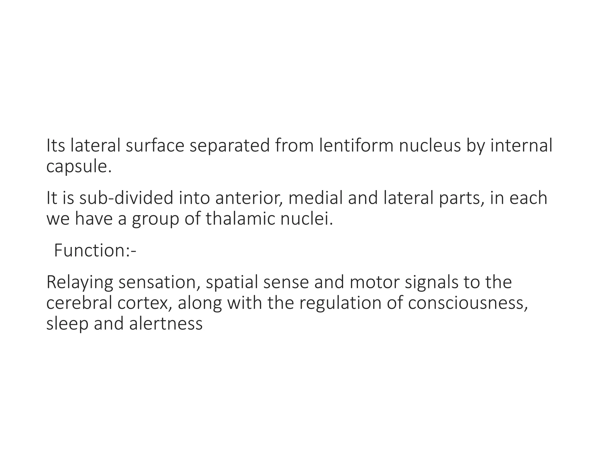 Its lateral surface separated from lentiform nucleus by internal
capsule.
It is sub-divided into anterior, medial and lateral parts, in each
we have a group of thalamic nuclei.
Function:-
Relaying sensation, spatial sense and motor signals to the
cerebral cortex, along with the regulation of consciousness,
sleep and alertness
 