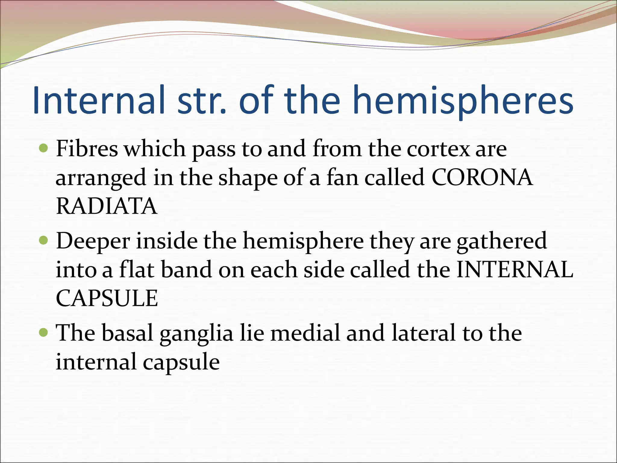 Internal str. of the hemispheres
 Fibres which pass to and from the cortex are
arranged in the shape of a fan called CORONA
RADIATA
 Deeper inside the hemisphere they are gathered
into a flat band on each side called the INTERNAL
CAPSULE
 The basal ganglia lie medial and lateral to the
internal capsule
 