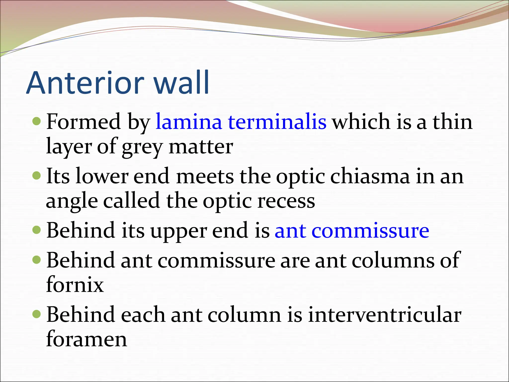 Anterior wall
 Formed by lamina terminalis which is a thin
layer of grey matter
 Its lower end meets the optic chiasma in an
angle called the optic recess
 Behind its upper end is ant commissure
 Behind ant commissure are ant columns of
fornix
 Behind each ant column is interventricular
foramen
 