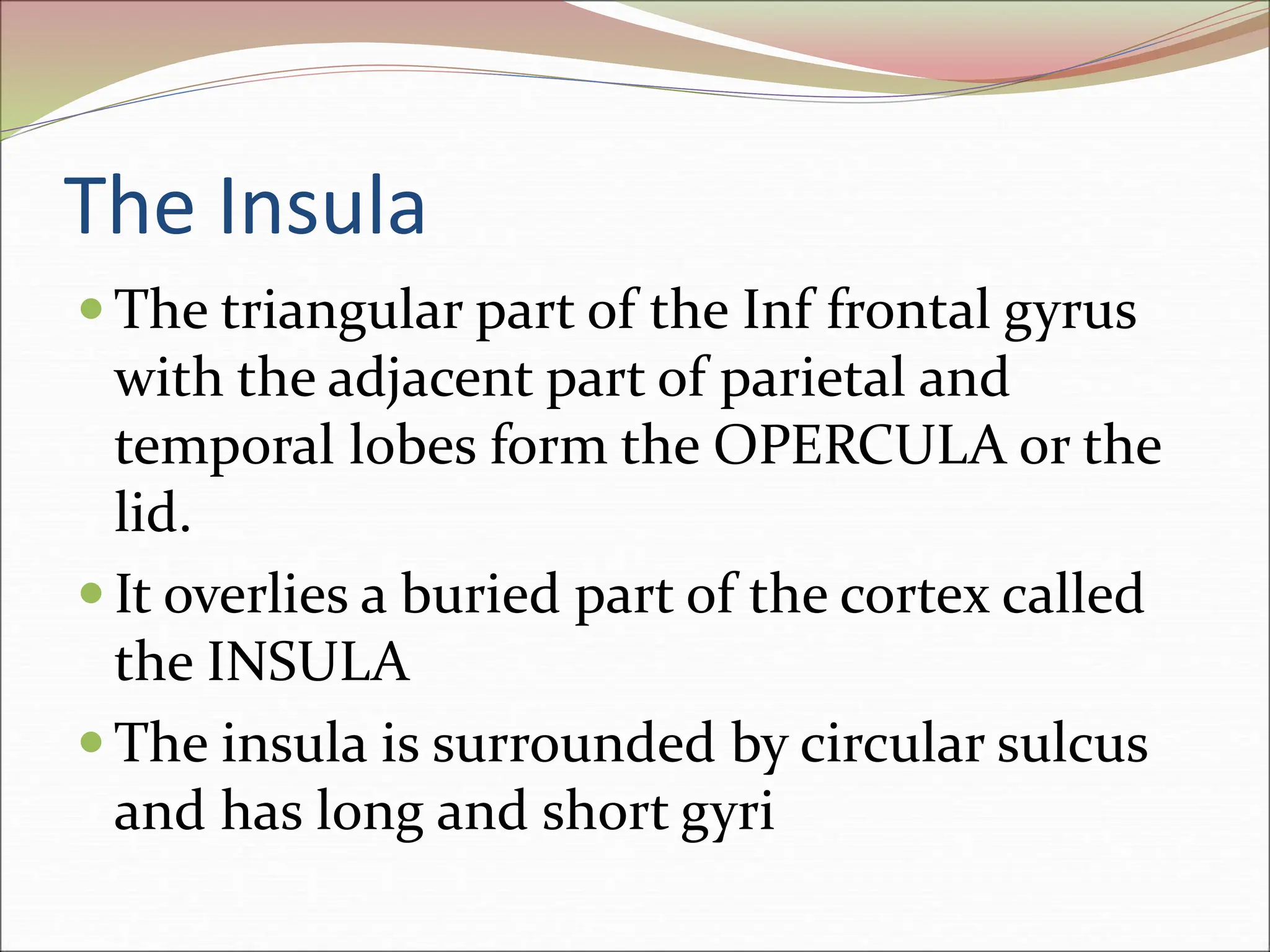 The Insula
 The triangular part of the Inf frontal gyrus
with the adjacent part of parietal and
temporal lobes form the OPERCULA or the
lid.
 It overlies a buried part of the cortex called
the INSULA
 The insula is surrounded by circular sulcus
and has long and short gyri
 