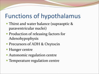 Functions of hypothalamus
 Thirst and water balance (supraoptic &
paraventricular nuclei)
 Production of releasing factors for
Adenohypophysis
 Precursors of ADH & Oxytocin
 Hunger centre
 Autonomic regulation centre
 Temperature regulation centre
 