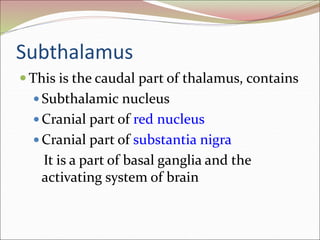 Subthalamus
 This is the caudal part of thalamus, contains
 Subthalamic nucleus
 Cranial part of red nucleus
 Cranial part of substantia nigra
It is a part of basal ganglia and the
activating system of brain
 