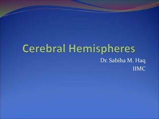 Dr. Sabiha M. Haq
IIMC
 