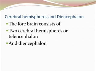 Cerebral hemispheres and Diencephalon
The fore brain consists of
Two cerebral hemispheres or
telencephalon
And diencephalon
 
