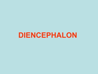 DIENCEPHALON
 