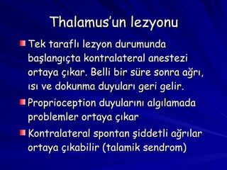 Thalamus’un lezyonu Tek taraflı lezyon durumunda başlangıçta kontralateral anestezi ortaya çıkar. Belli bir süre sonra ağrı, ısı ve dokunma duyuları geri gelir. Proprioception duyularını algılamada problemler ortaya çıkar Kontralateral spontan şiddetli ağrılar ortaya çıkabilir (talamik sendrom) 