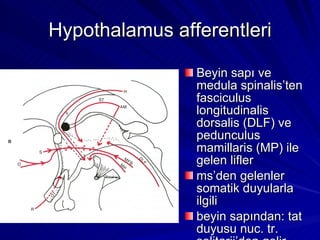 Hypothalamus afferentleri Beyin sapı ve medula spinalis’ten fasciculus longitudinalis dorsalis (DLF) ve pedunculus mamillaris (MP) ile gelen lifler ms’den gelenler somatik duyularla ilgili beyin sapından: tat duyusu nuc. tr. solitarii’den gelir 