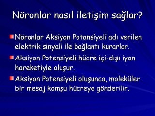 Nöronlar nasıl iletişim sağlar? Nöronlar Aksiyon Potansiyeli adı verilen elektrik sinyali ile bağlantı kurarlar.  Aksiyon Potensiyeli hücre içi-dışı iyon hareketiyle oluşur. Aksiyon Potensiyeli oluşunca, moleküler bir mesaj komşu hücreye gönderilir.  