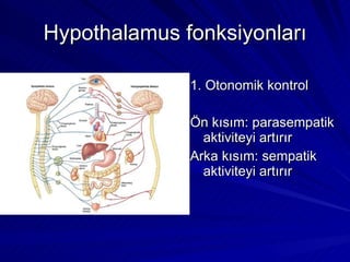 Hypothalamus fonksiyonları 1. Otonomik kontrol Ön kısım: parasempatik aktiviteyi artırır Arka kısım: sempatik aktiviteyi artırır 
