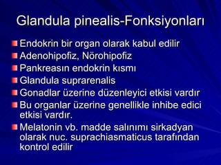 Glandula pinealis-Fonksiyonları Endokrin bir organ olarak kabul edilir Adenohipofiz, Nörohipofiz Pankreasın endokrin kısmı Glandula suprarenalis Gonadlar üzerine düzenleyici etkisi vardır Bu organlar üzerine genellikle inhibe edici etkisi vardır. Melatonin vb. madde salınımı sirkadyan olarak nuc. suprachiasmaticus tarafından kontrol edilir 