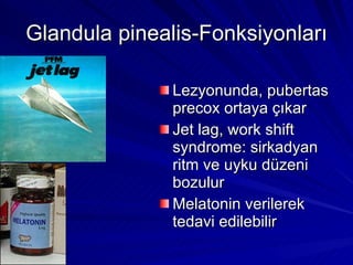 Glandula pinealis-Fonksiyonları Lezyonunda, pubertas precox ortaya çıkar Jet lag, work shift syndrome: sirkadyan ritm ve uyku düzeni bozulur Melatonin verilerek tedavi edilebilir 