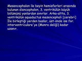 Mesencephalon ile beyin hemisferleri arasında bulunan diencephalon, 3. ventrikülün büyük bölümünü yanlardan sınırlar. Arka-altta, 3. ventrikülün aquaductus mesencephali [cerebri] İle birleştiği yerden baslar, üst-önde ise for. interventriculare'ye (Monro deliği) kadar uzanır. 