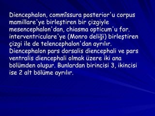 Diencephalon, commîssura posterior'u corpus mamillare'ye birleştiren bir çizgiyle mesencephalon'dan, chiasma opticum'u for. interventriculare'ye (Monro deliği) birleştiren çizgi ile de telencephalon'dan ayrılır. Diencephalon pars dorsalis diencephali ve pars ventralis diencephali olmak üzere iki ana bölümden oluşur. Bunlardan birincisi 3, ikincisi ise 2 alt bölüme ayrılır. 