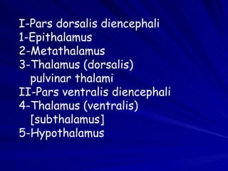 I-Pars dorsalis diencephali 1-Epithalamus 2-Metathalamus 3-Thalamus (dorsalis)  pulvinar thalami II- Pars ventralis diencephali 4-Thalamus (ventralis) [subthalamus] 5-Hypothalamus 