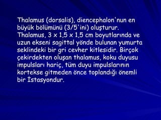 Thalamus (dorsalis), diencephalon'nun en büyük bölümünü (3/5'ini) oluşturur. Thalamus, 3 x 1,5 x 1,5 cm boyutlarında ve uzun ekseni sagittal yönde bulunan yumurta seklindeki bir gri cevher kitlesidir. Birçok çekirdekten oluşan thalamus, koku duyusu impulsları hariç, tüm duyu impulslarının kortekse gitmeden önce toplandığı önemli bir İstasyondur.  