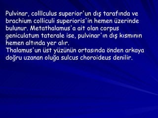 Pulvinar, colllculus superior'un dış tarafında ve brachium colliculi superioris'in hemen üzerinde bulunur. Metathalamus'a ait olan corpus geniculatum taterale ise, pulvinar'ın dış kısmının hemen altında yer alır. Thalamus'un üst yüzünün ortasında önden arkaya doğru uzanan oluğa sulcus choroideus denilir.  