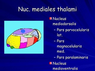 Nuc. mediales thalami Nucleus mediodorsalis Pars parvocelularis lat. Pars magnacelularis med. Pars paralaminaris Nucleus medioventralis 