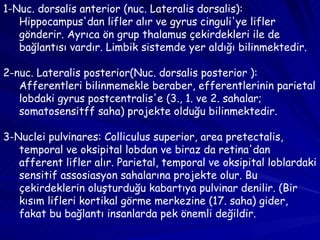 1-Nuc. dorsalis anterior (nuc. Lateralis dorsalis): Hippocampus'dan lifler alır ve gyrus cinguli'ye lifler gönderir. Ayrıca ön grup thalamus çekirdekleri ile de bağlantısı vardır. Limbik sistemde yer aldığı bilinmektedir. 2-nuc. Lateralis posterior(Nuc. dorsalis posterior ): Afferentleri bilinmemekle beraber, efferentlerinin parietal lobdaki gyrus postcentralis'e (3., 1. ve 2. sahalar; somatosensitff saha) projekte olduğu bilinmektedir. 3-Nuclei pulvinares: Colliculus superior, area pretectalis, temporal ve oksipital lobdan ve biraz da retina'dan afferent lifler alır. Parietal, temporal ve oksipital loblardaki sensitif assosiasyon sahalarına projekte olur. Bu çekirdeklerin oluşturduğu kabartıya pulvinar denilir. (Bir kısım lifleri kortikal görme merkezine (17. saha) gider, fakat bu bağlantı insanlarda pek önemli değildir. 