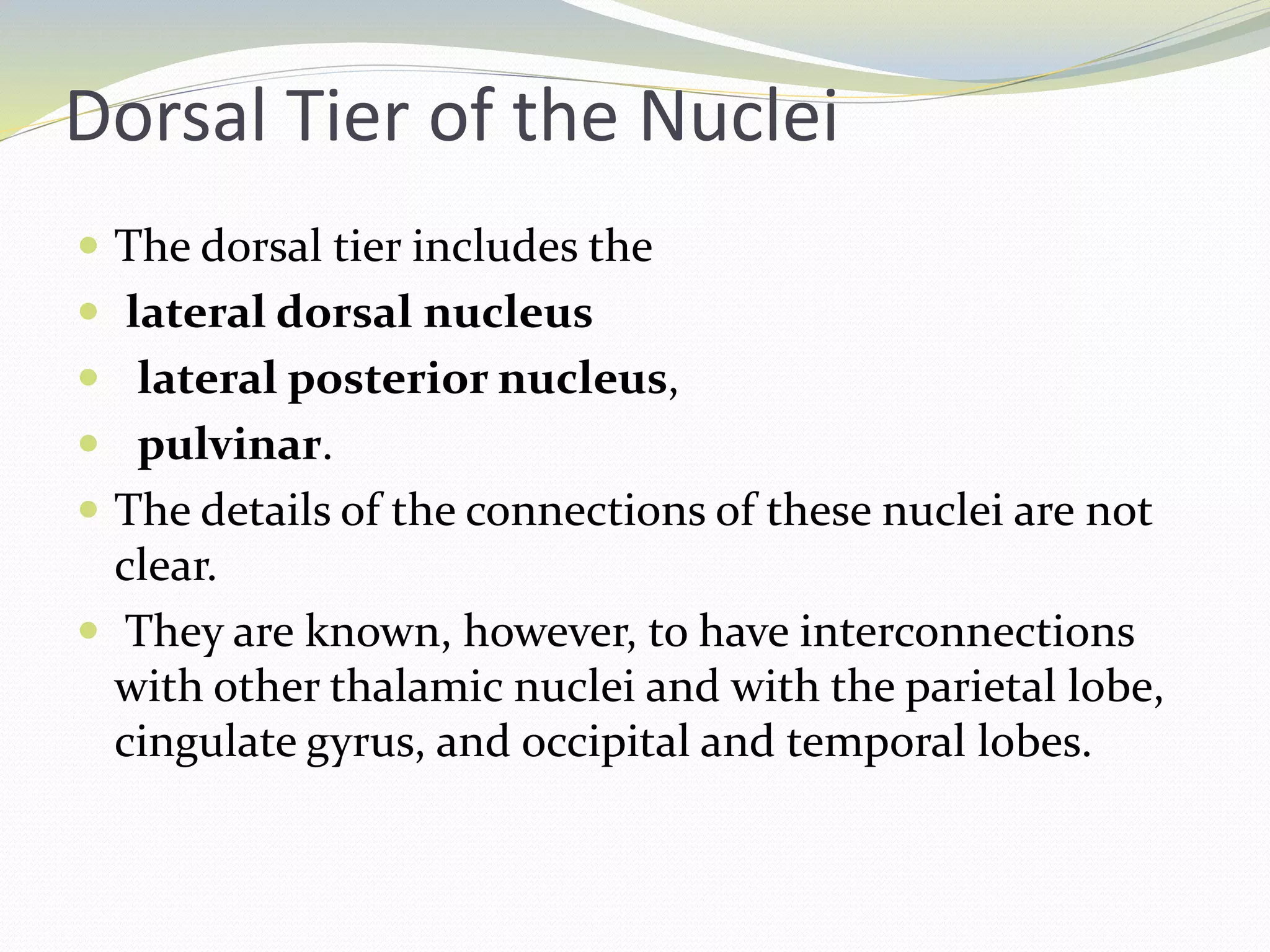 Dorsal Tier of the Nuclei
 The dorsal tier includes the
 lateral dorsal nucleus
 lateral posterior nucleus,
 pulvinar.
 The details of the connections of these nuclei are not
clear.
 They are known, however, to have interconnections
with other thalamic nuclei and with the parietal lobe,
cingulate gyrus, and occipital and temporal lobes.
 