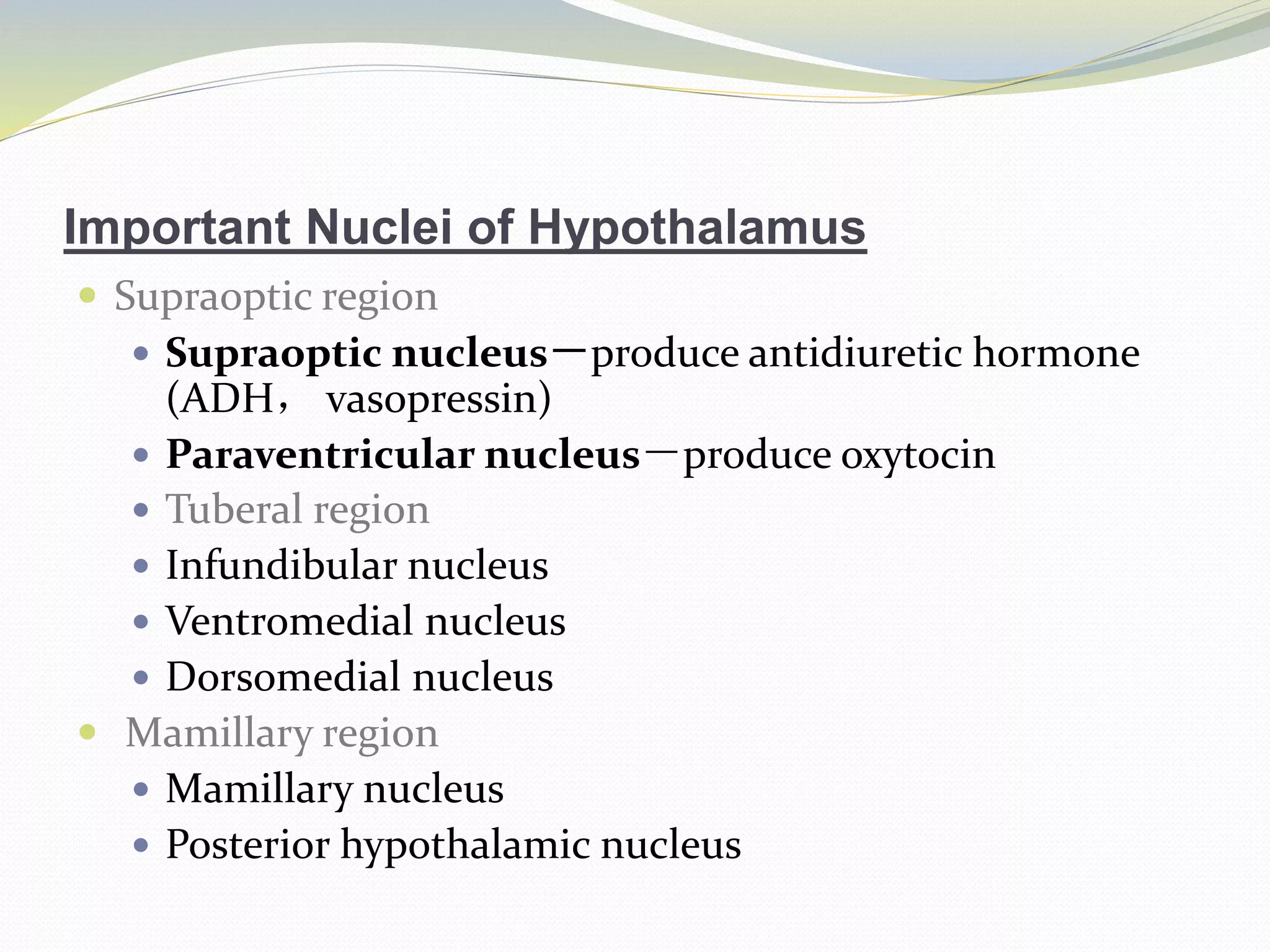 Important Nuclei of Hypothalamus
 Supraoptic region
 Supraoptic nucleus－produce antidiuretic hormone
(ADH， vasopressin)
 Paraventricular nucleus－produce oxytocin
 Tuberal region
 Infundibular nucleus
 Ventromedial nucleus
 Dorsomedial nucleus
 Mamillary region
 Mamillary nucleus
 Posterior hypothalamic nucleus
 