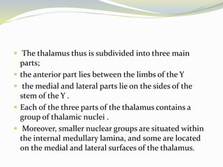  The thalamus thus is subdivided into three main
parts;
 the anterior part lies between the limbs of the Y
 the medial and lateral parts lie on the sides of the
stem of the Y .
 Each of the three parts of the thalamus contains a
group of thalamic nuclei .
 Moreover, smaller nuclear groups are situated within
the internal medullary lamina, and some are located
on the medial and lateral surfaces of the thalamus.
 