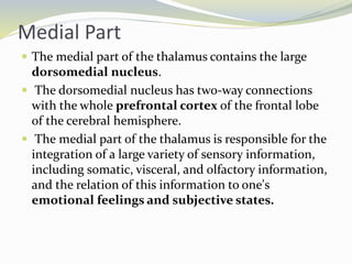 Medial Part
 The medial part of the thalamus contains the large
dorsomedial nucleus.
 The dorsomedial nucleus has two-way connections
with the whole prefrontal cortex of the frontal lobe
of the cerebral hemisphere.
 The medial part of the thalamus is responsible for the
integration of a large variety of sensory information,
including somatic, visceral, and olfactory information,
and the relation of this information to one's
emotional feelings and subjective states.
 