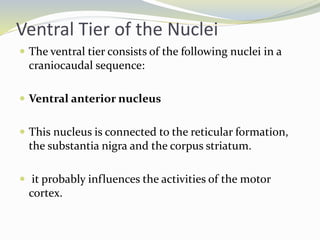Ventral Tier of the Nuclei
 The ventral tier consists of the following nuclei in a
craniocaudal sequence:
 Ventral anterior nucleus
 This nucleus is connected to the reticular formation,
the substantia nigra and the corpus striatum.
 it probably influences the activities of the motor
cortex.
 