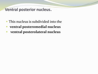 Ventral posterior nucleus.
 This nucleus is subdivided into the
 ventral posteromedial nucleus
 ventral posterolateral nucleus
 