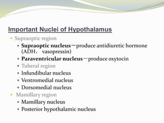 Important Nuclei of Hypothalamus
 Supraoptic region
 Supraoptic nucleus－produce antidiuretic hormone
(ADH， vasopressin)
 Paraventricular nucleus－produce oxytocin
 Tuberal region
 Infundibular nucleus
 Ventromedial nucleus
 Dorsomedial nucleus
 Mamillary region
 Mamillary nucleus
 Posterior hypothalamic nucleus
 