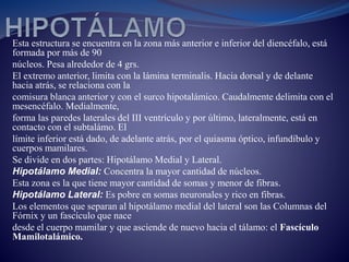 Esta estructura se encuentra en la zona más anterior e inferior del diencéfalo, está
formada por más de 90
núcleos. Pesa alrededor de 4 grs.
El extremo anterior, limita con la lámina terminalis. Hacia dorsal y de delante
hacia atrás, se relaciona con la
comisura blanca anterior y con el surco hipotalámico. Caudalmente delimita con el
mesencéfalo. Medialmente,
forma las paredes laterales del III ventrículo y por último, lateralmente, está en
contacto con el subtalámo. El
límite inferior está dado, de adelante atrás, por el quiasma óptico, infundíbulo y
cuerpos mamilares.
Se divide en dos partes: Hipotálamo Medial y Lateral.
Hipotálamo Medial: Concentra la mayor cantidad de núcleos.
Esta zona es la que tiene mayor cantidad de somas y menor de fibras.
Hipotálamo Lateral: Es pobre en somas neuronales y rico en fibras.
Los elementos que separan al hipotálamo medial del lateral son las Columnas del
Fórnix y un fascículo que nace
desde el cuerpo mamilar y que asciende de nuevo hacia el tálamo: el Fascículo
Mamilotalámico.
 
