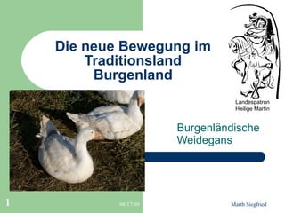 Die neue Bewegung im Traditionsland Burgenland Burgenländische  Weidegans Landespatron Heilige Martin 
