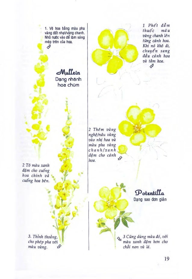 Din Ha Sketch With Water Colour Din Ha Sketch With Water Colour