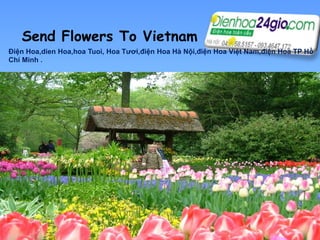 Send Flowers To Vietnam
Điện Hoa,dien Hoa,hoa Tuoi, Hoa Tươi,điện Hoa Hà Nội,điện Hoa Việt Nam,điện Hoa TP Hồ
Chí Minh .

 