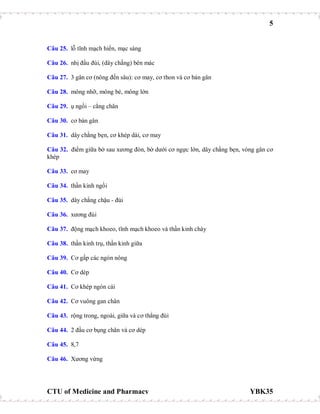 5
CTU of Medicine and Pharmacy YBK35
Câu 25. lỗ tĩnh mạch hiển, mạc sàng
Câu 26. nhị đầu đùi, (dây chằng) bên mác
Câu 27. 3 gân cơ (nông đến sâu): cơ may, cơ thon và cơ bán gân
Câu 28. mông nhỡ, mông bé, mông lớn
Câu 29. ụ ngồi – cẳng chân
Câu 30. cơ bán gân
Câu 31. dây chằng bẹn, cơ khép dài, cơ may
Câu 32. điểm giữa bờ sau xương đòn, bờ dưới cơ ngực lớn, dây chằng bẹn, vòng gân cơ
khép
Câu 33. cơ may
Câu 34. thần kinh ngồi
Câu 35. dây chằng chậu - đùi
Câu 36. xương đùi
Câu 37. động mạch khoeo, tĩnh mạch khoeo và thần kinh chày
Câu 38. thần kinh trụ, thần kinh giữa
Câu 39. Cơ gấp các ngón nông
Câu 40. Cơ dép
Câu 41. Cơ khép ngón cái
Câu 42. Cơ vuông gan chân
Câu 43. rộng trong, ngoài, giữa và cơ thẳng đùi
Câu 44. 2 đầu cơ bụng chân và cơ dép
Câu 45. 8,7
Câu 46. Xương vừng
 