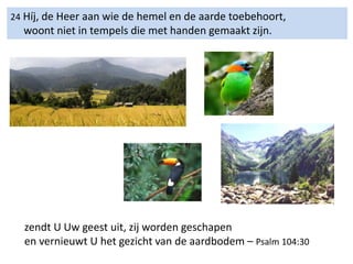 24 Híj, de Heer aan wie de hemel en de aarde toebehoort,
woont niet in tempels die met handen gemaakt zijn.
zendt U Uw geest uit, zij worden geschapen
en vernieuwt U het gezicht van de aardbodem – Psalm 104:30
 