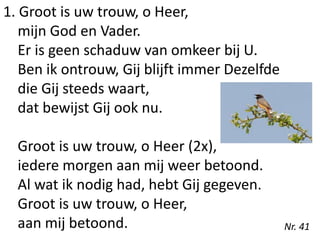 1. Groot is uw trouw, o Heer,
mijn God en Vader.
Er is geen schaduw van omkeer bij U.
Ben ik ontrouw, Gij blijft immer Dezelfde
die Gij steeds waart,
dat bewijst Gij ook nu.
Groot is uw trouw, o Heer (2x),
iedere morgen aan mij weer betoond.
Al wat ik nodig had, hebt Gij gegeven.
Groot is uw trouw, o Heer,
aan mij betoond. Nr. 41
 