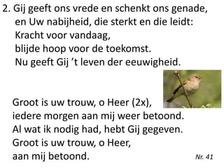 2. Gij geeft ons vrede en schenkt ons genade,
en Uw nabijheid, die sterkt en die leidt:
Kracht voor vandaag,
blijde hoop voor de toekomst.
Nu geeft Gij ’t leven der eeuwigheid.
Groot is uw trouw, o Heer (2x),
iedere morgen aan mij weer betoond.
Al wat ik nodig had, hebt Gij gegeven.
Groot is uw trouw, o Heer,
aan mij betoond. Nr. 41
 