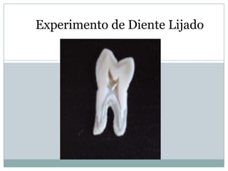 Experimento de Diente Lijado
 