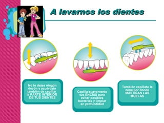 A lavarnos los dientesA lavarnos los dientes
No te dejes ningún
rincón y acuérdate
también de cepillar
la PARTE INTERIOR
DE TUS DIENTES
Cepilla suavemente
tus ENCÍAS para
evitar posibles
bacterias y limpiar
en profundidad
También cepíllate la
zona por donde
MASTICAN LAS
MUELAS
 