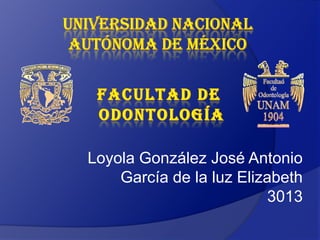 Loyola González José Antonio
    García de la luz Elizabeth
                          3013
 